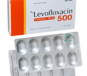 Levofloxacin 500